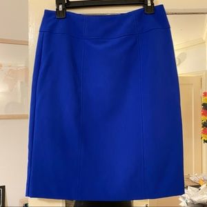 Blue Pencil Skirt- Worthington